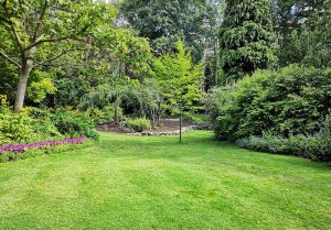 Optimiser l'expérience du jardin à Segur-les-Villas